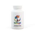 BioSlate | Mushroom Blend Supplement (60 Capsules)