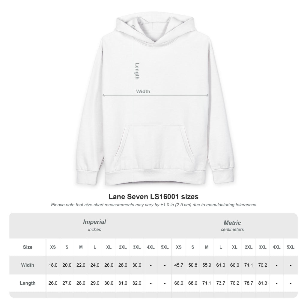 BioSlate | FlowMan | Hoodie |  Pullover
